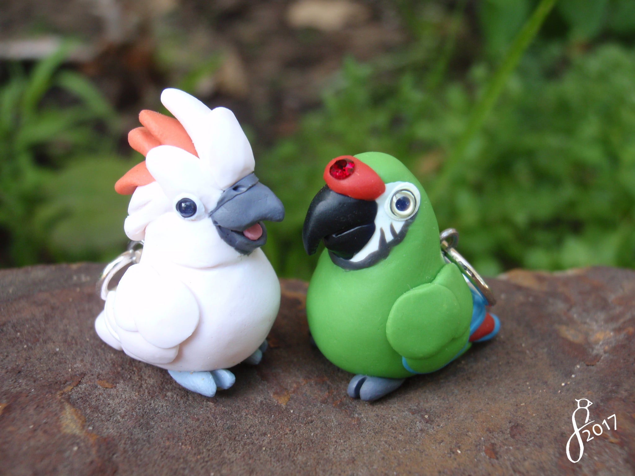 Parrotlets Coming Soon! -- My Week in Clay 5/19/17