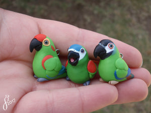 More Green Macaws -- My Week in Clay 6/23/17