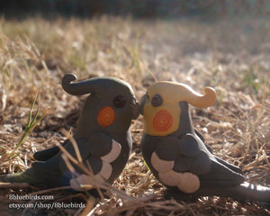 New products: Cockatiels