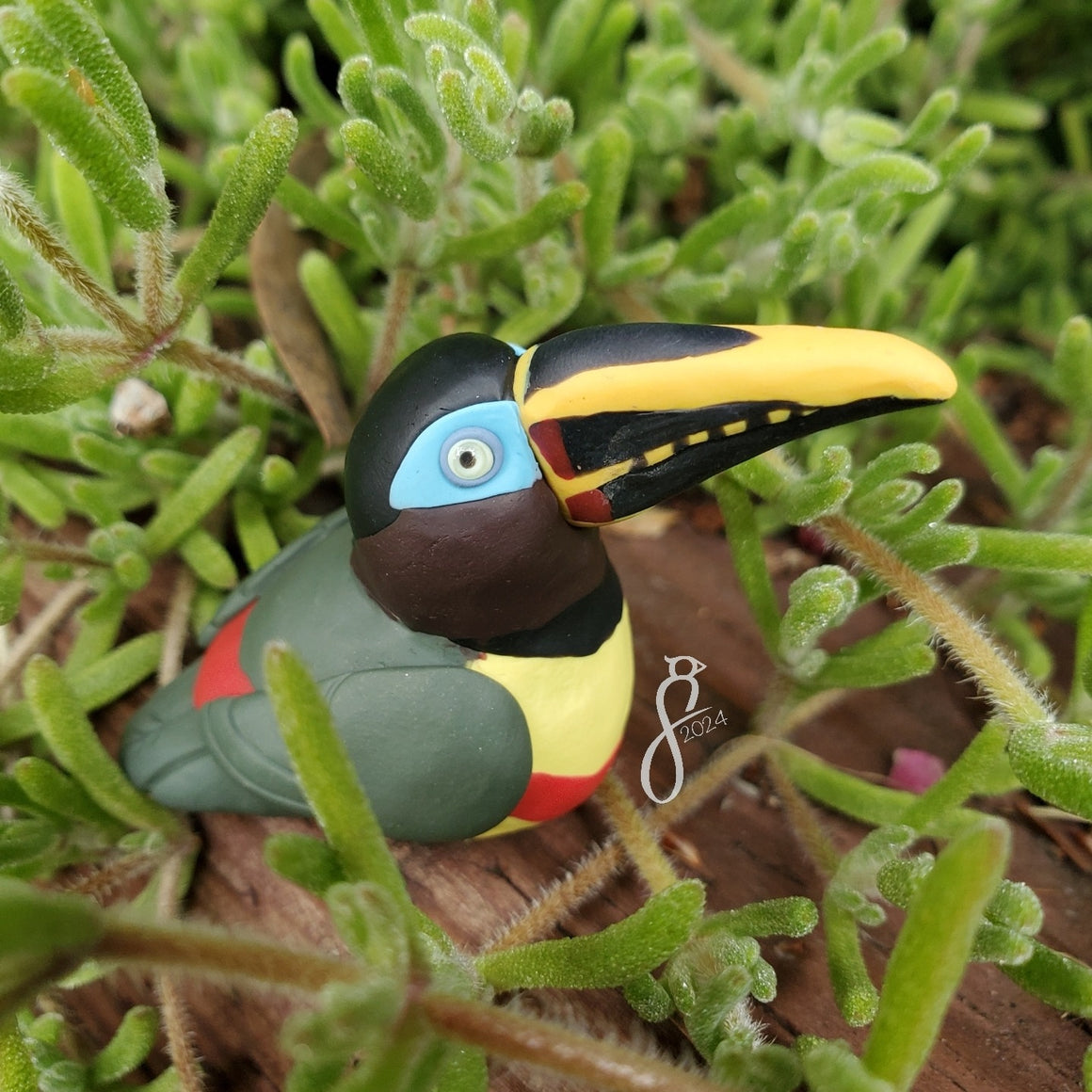 Toucans and Aracaris