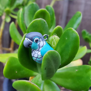 Turquoise Green Cheek Charm