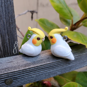 Lutino Cockatiel Charm