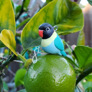 Teal Masked Lovebird Charm