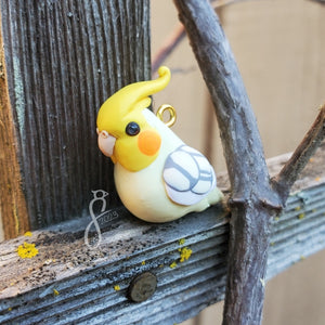 Pearl Pied Cockatiel Charm