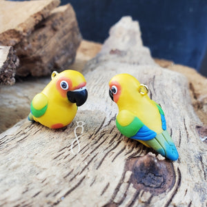 Sun Conure Charm