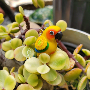 Sunflower Conure Charm