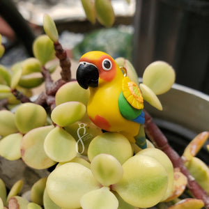 Sunflower Conure Charm