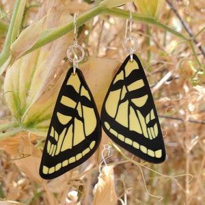 Tiger Swallowtail Wing Earrings
