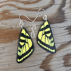 Tiger Swallowtail Wing Earrings