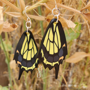 Tiger Swallowtail Wing Earrings