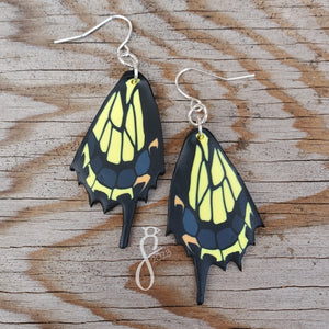 Tiger Swallowtail Wing Earrings