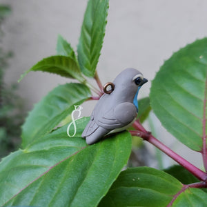 White-Spotted Bluethroat Charm