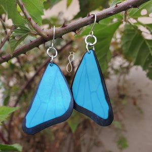 Blue Morpho Wing Earrings