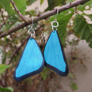 Blue Morpho Wing Earrings