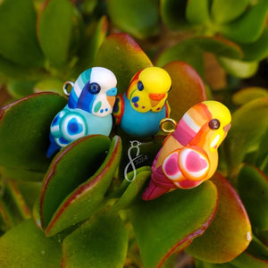 Pride Budgie Charms