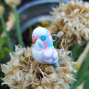 Pride Budgie Charms