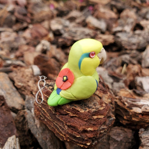 [Pre-Order] Poppy Parrotlet