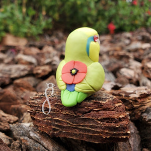 [Pre-Order] Poppy Parrotlet