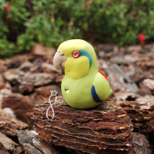 [Pre-Order] Poppy Parrotlet