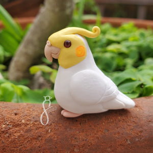 Phoenix the Cockatiel