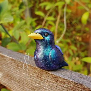[Pre-Order] Morning Starling