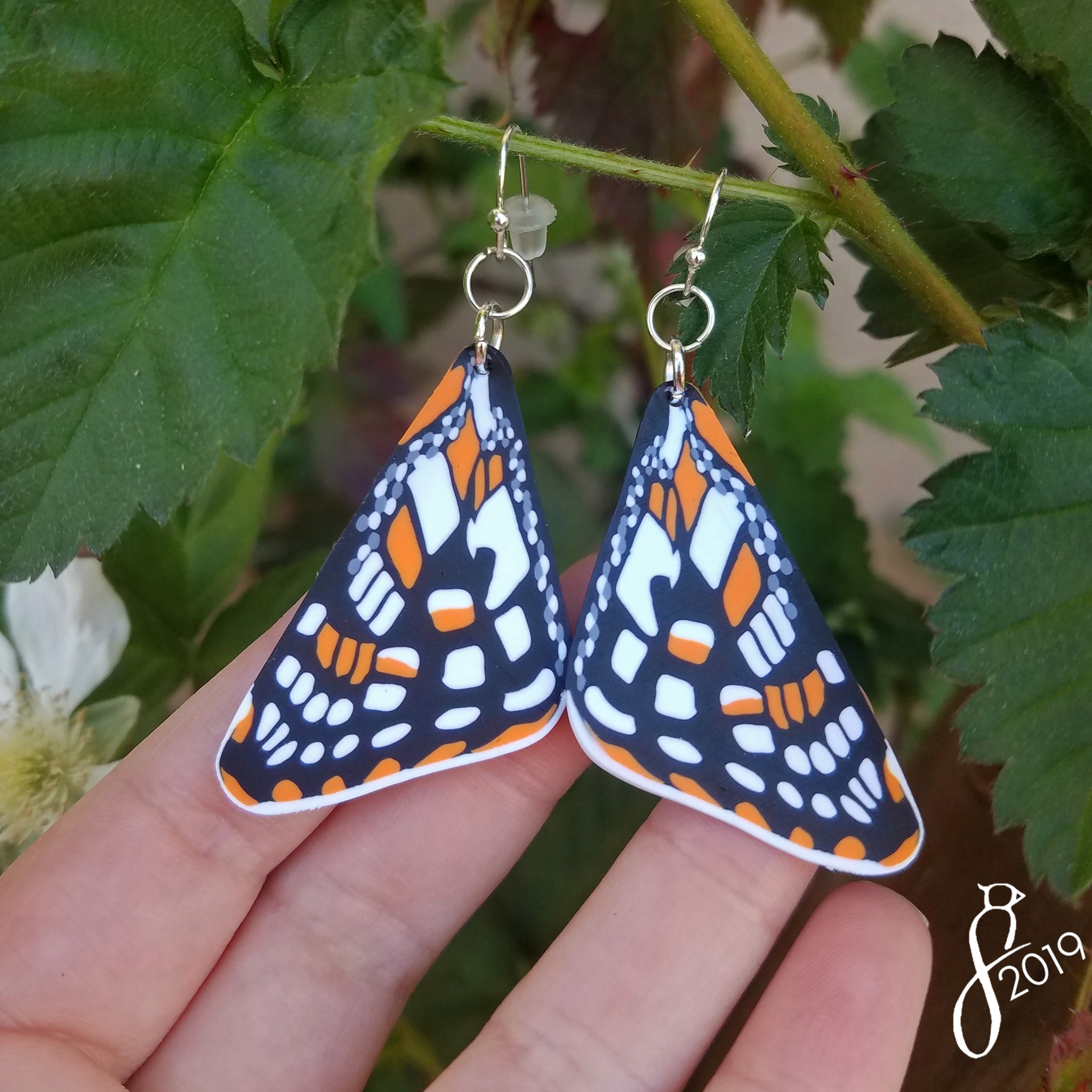 Real Swallowtail Butterfly Wing Earrings